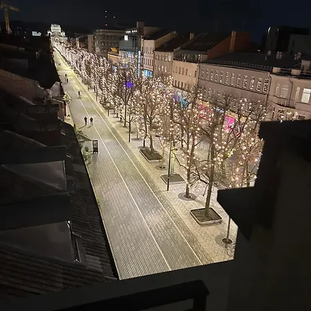 Lägenhet Maironio Apartamentai